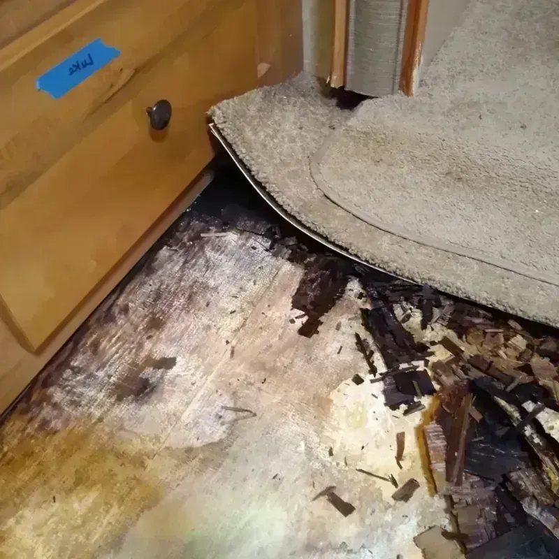 Wood Floor Water Damage in Dodge County, NE